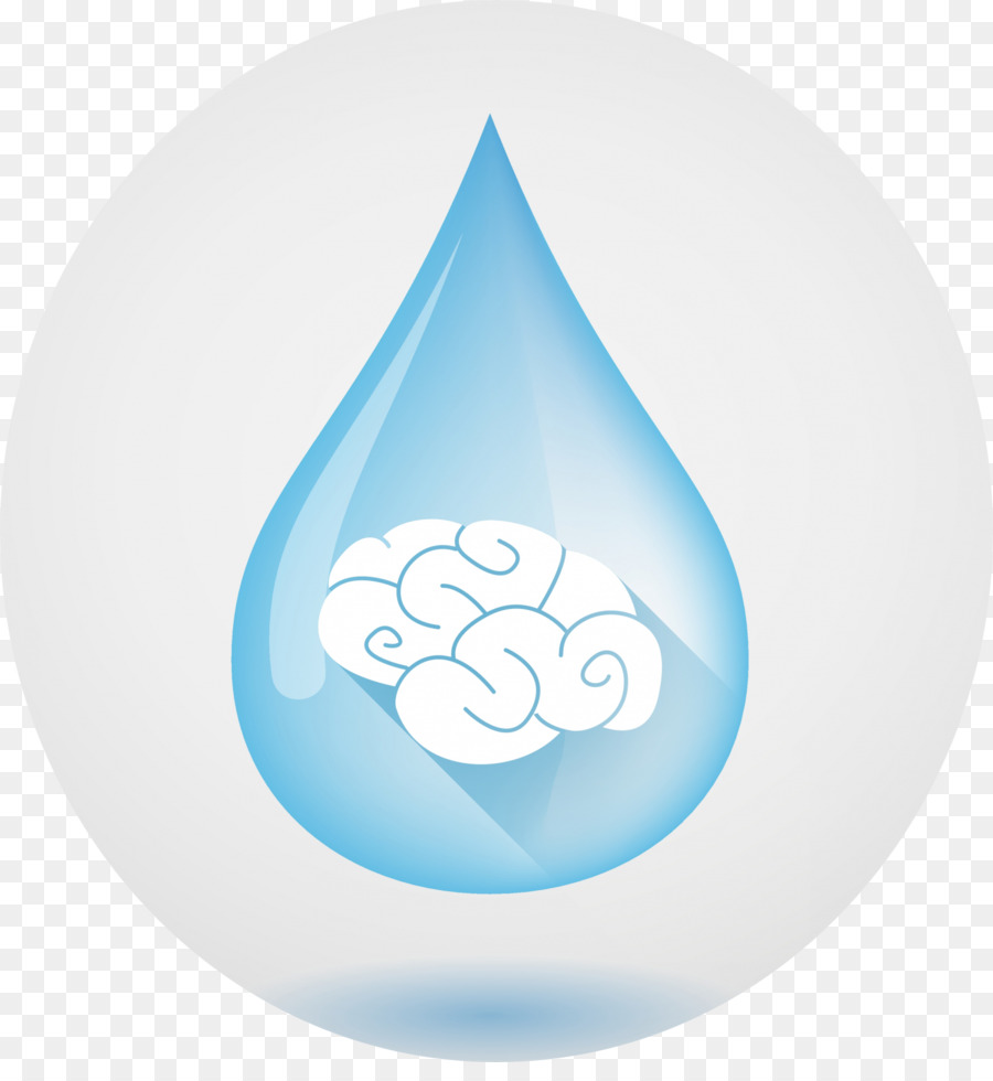 Gota De Agua，Cerebro PNG