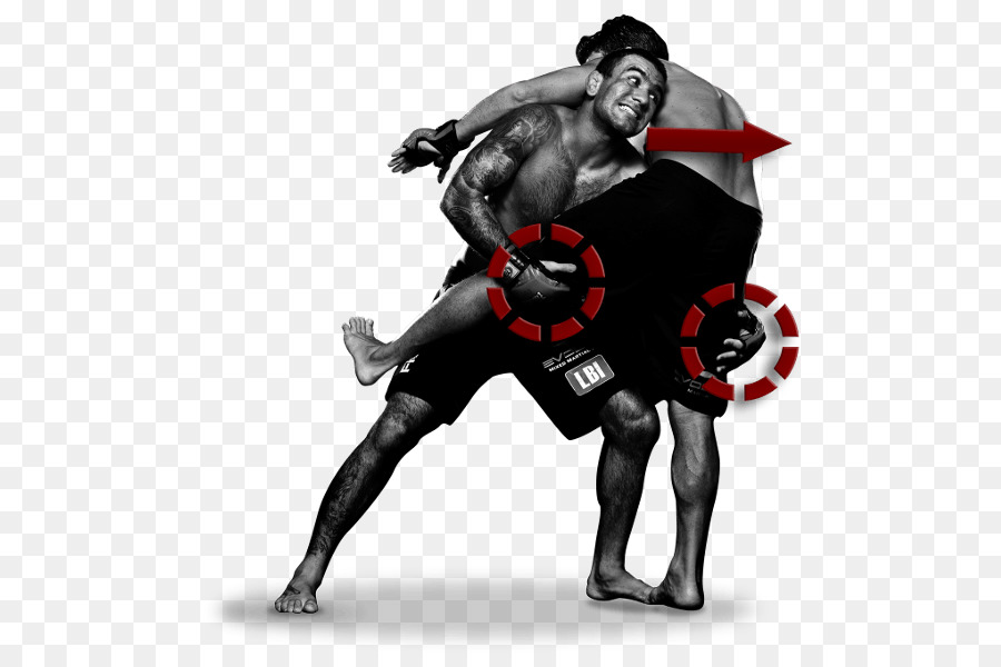 La Lucha Libre，Las Artes Marciales Mixtas PNG