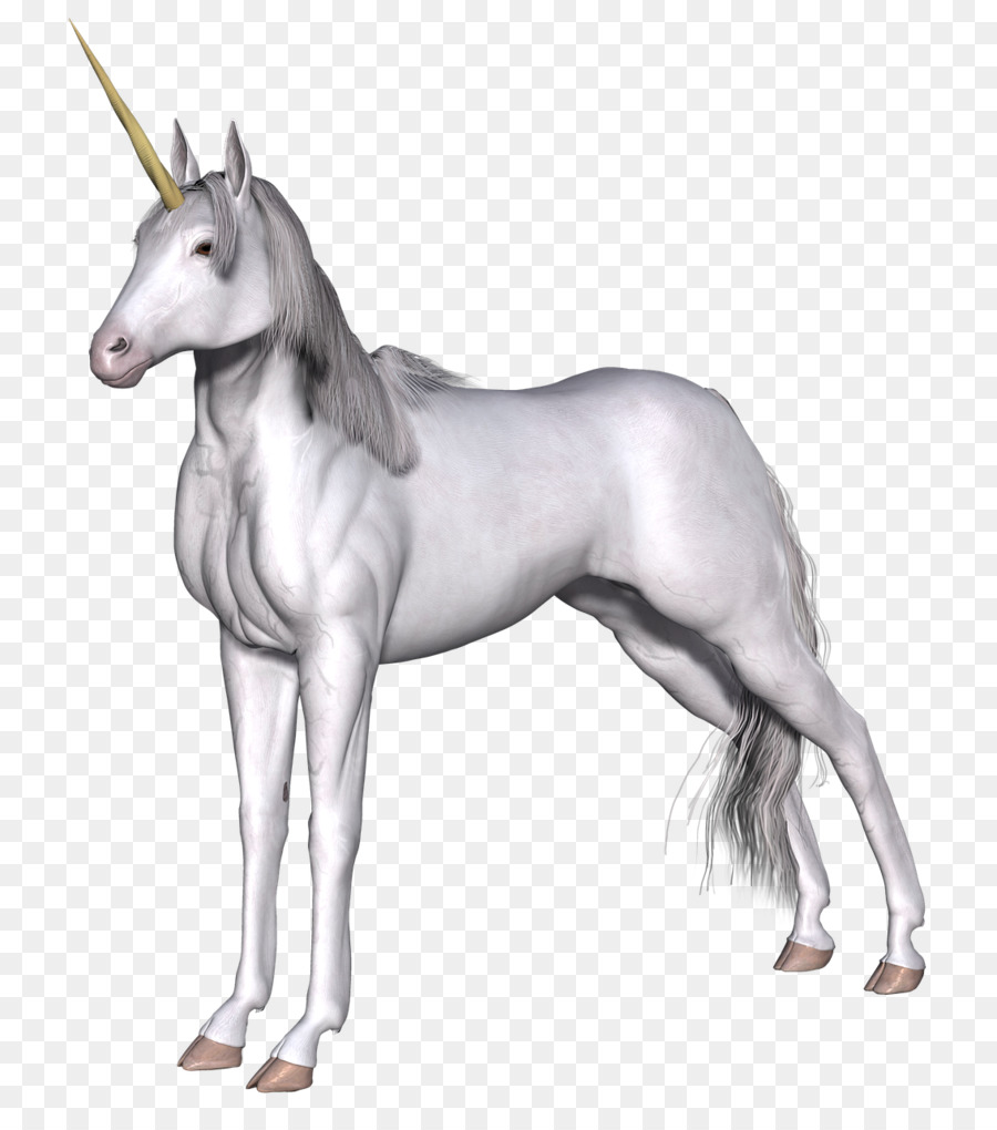 Caballo，Unicornio PNG