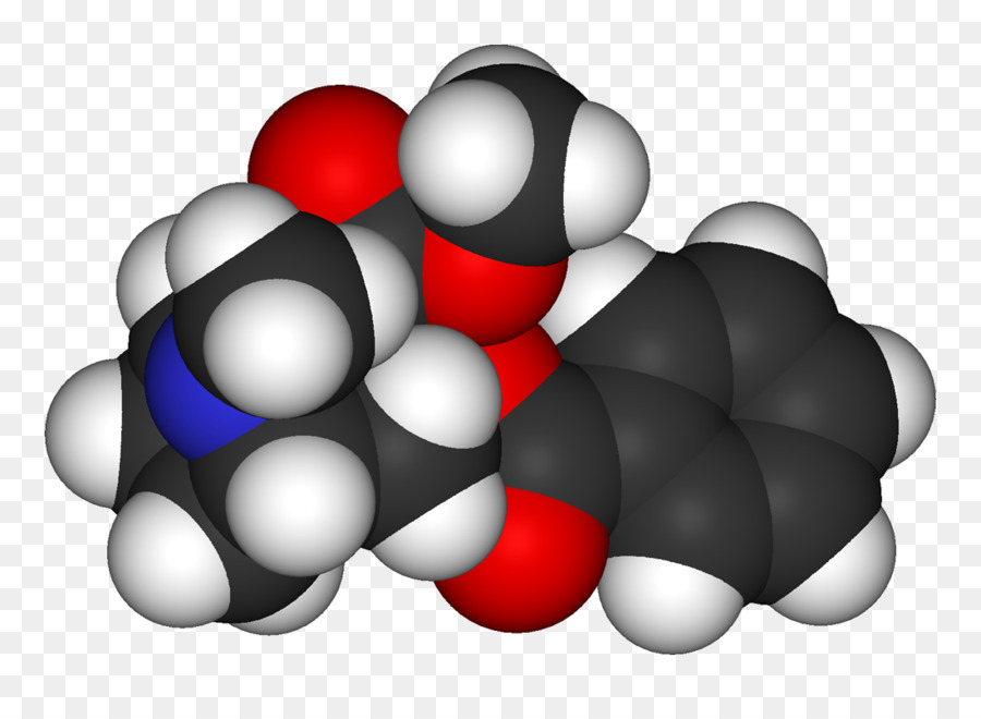 La Cocaína，Erythroxylum Coca PNG