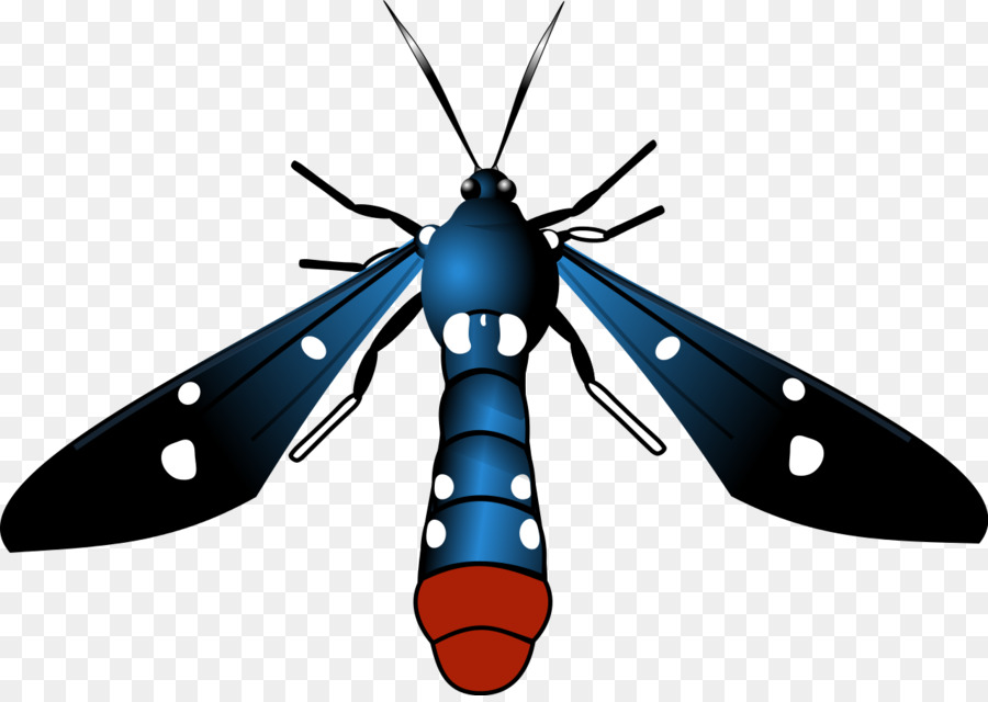 Mariposa，Polilla PNG