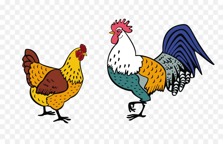 Pollo，Gallo PNG