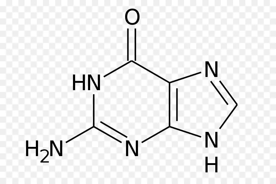 Estructura Química，Molécula PNG