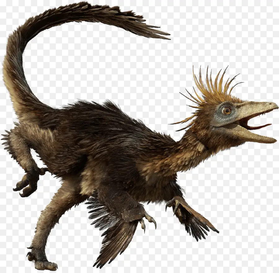 Dinosaurio Emplumado，Prehistórico PNG