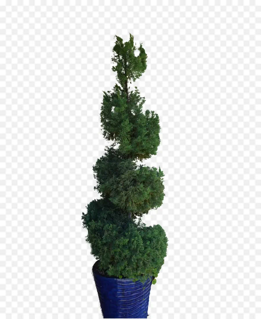 Planta Topiaria，Árbol PNG