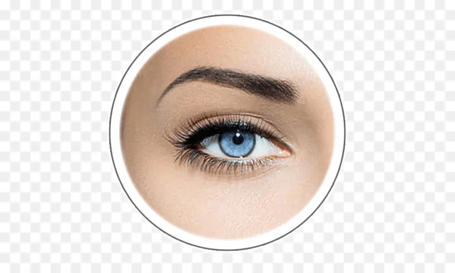 Microblading，De La Ceja PNG