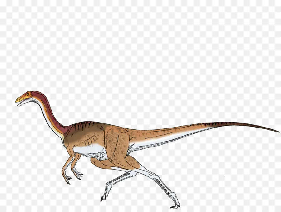 Arca De Supervivencia Evolucionado，Gallimimus PNG