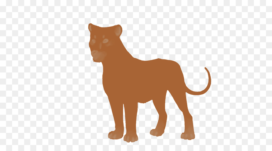 León，Gato PNG