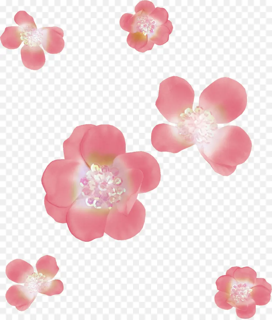 Flores，Rosa PNG