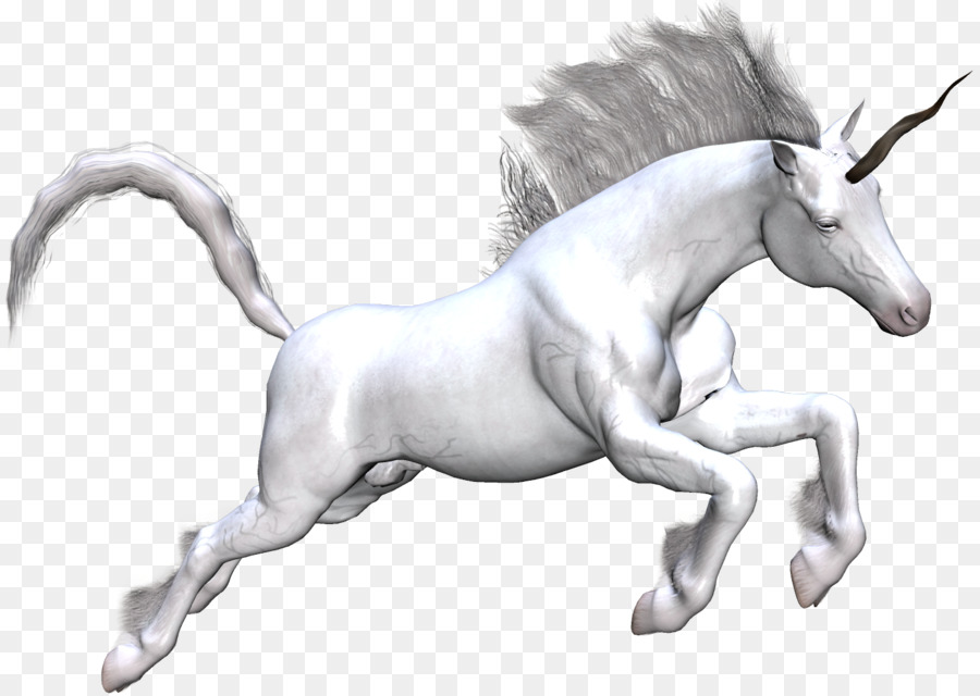 Unicornio，Caballo PNG