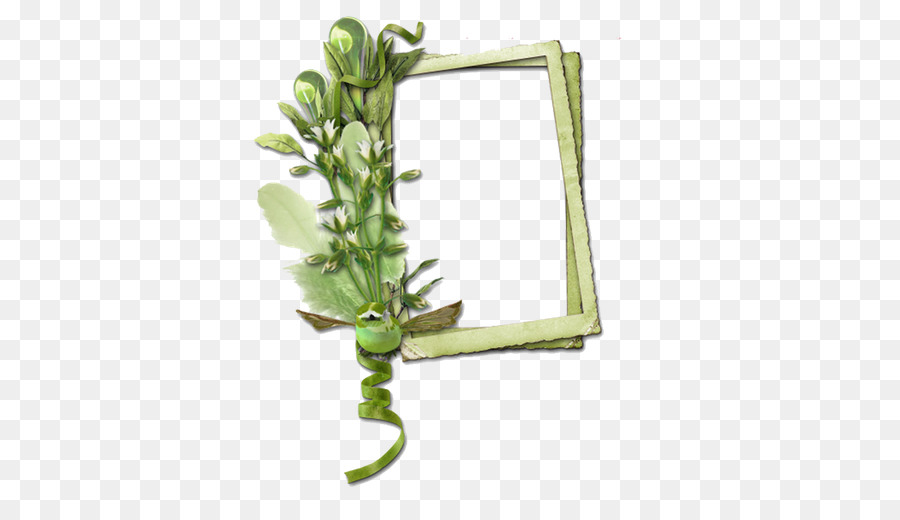 Plant Stem，Twig PNG