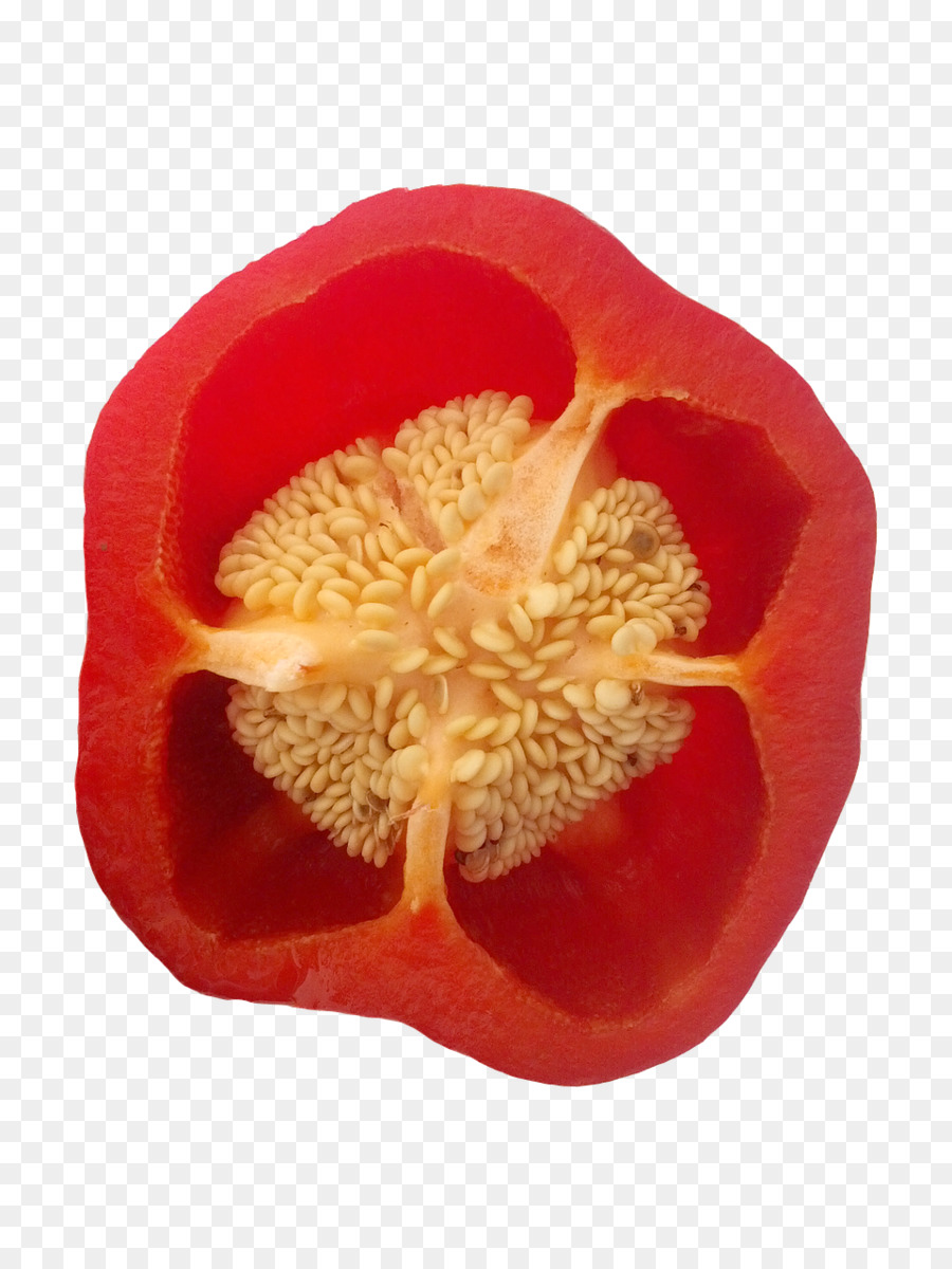 Flor，Pétalo PNG