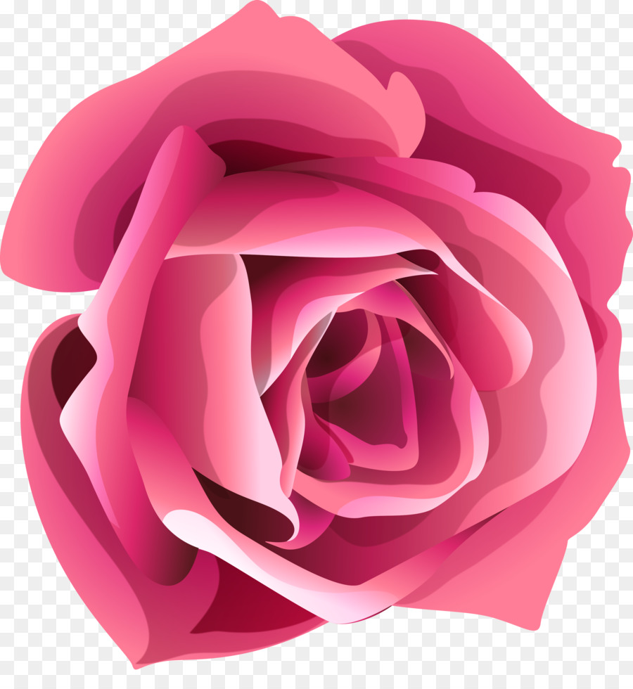 Las Rosas De Jardín，Flor PNG