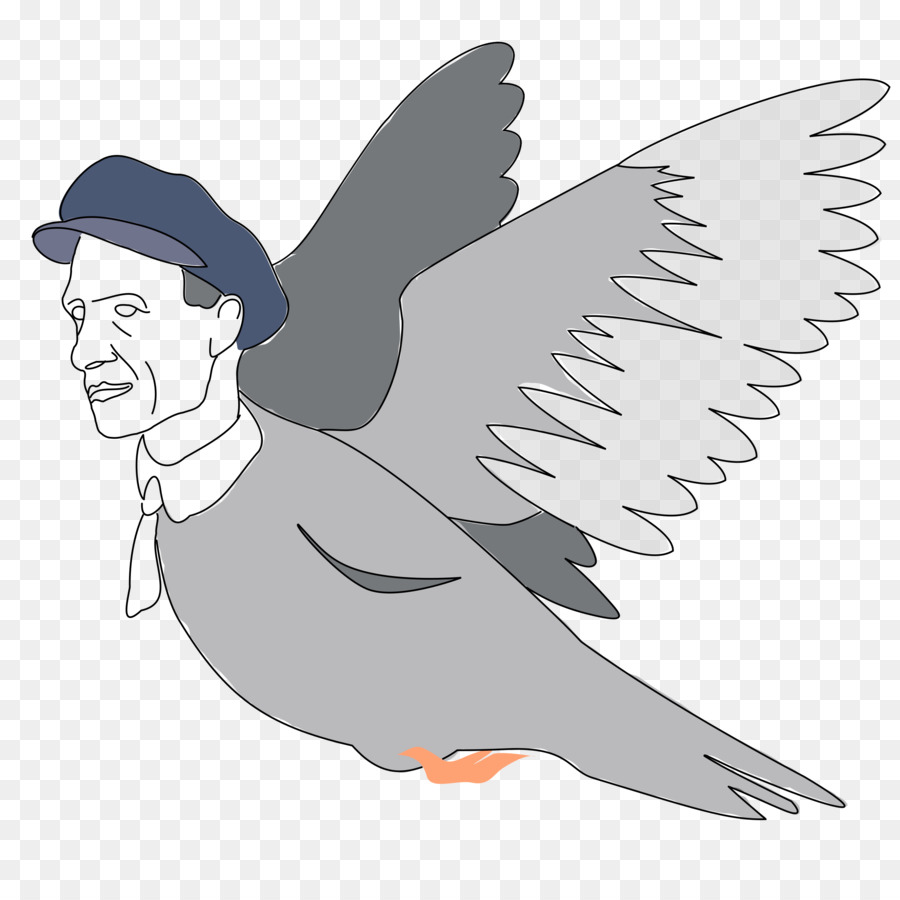 Pájaro，La Fotografía PNG