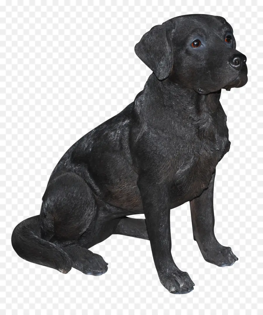 Perro Negro，Mascota PNG