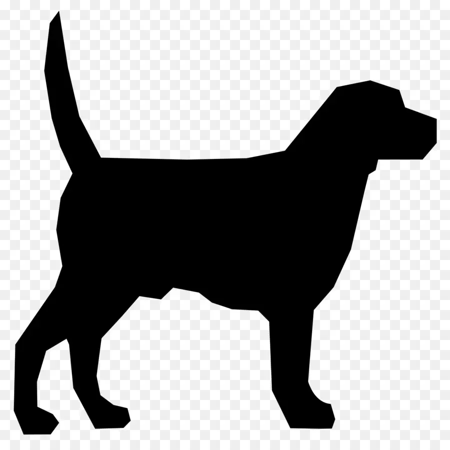 Perro，Cuidado De Mascotas PNG