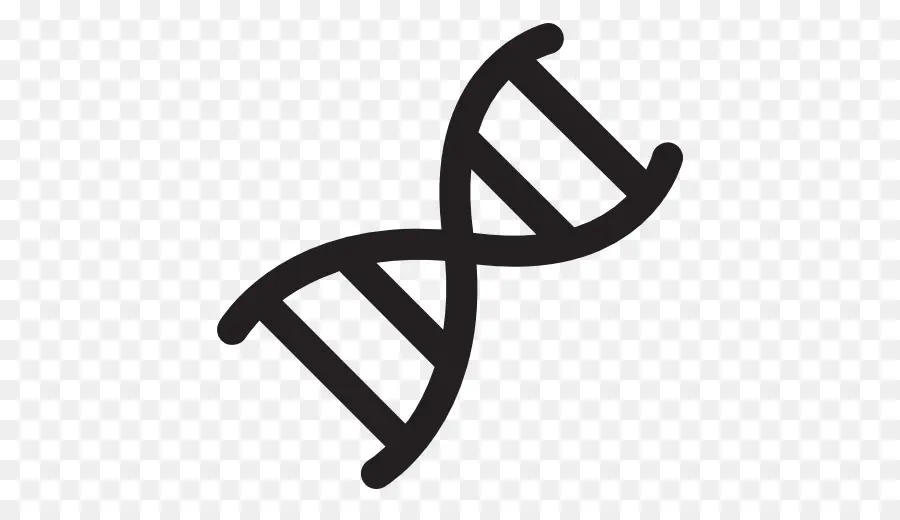 Iconos De Equipo，El Cromosoma PNG