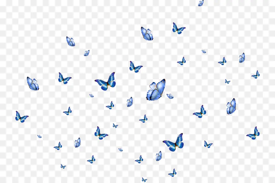 Mariposa，Wink PNG