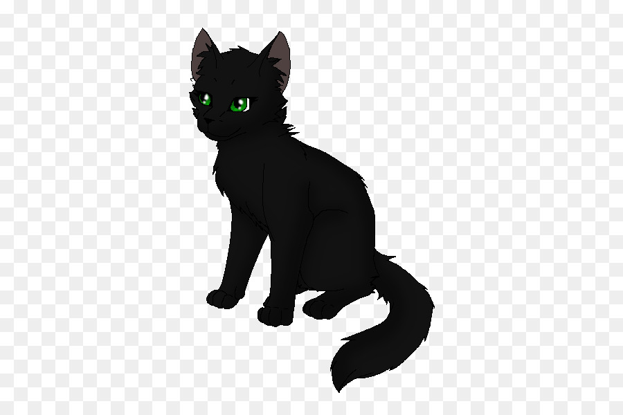 Gato Negro，Animal PNG