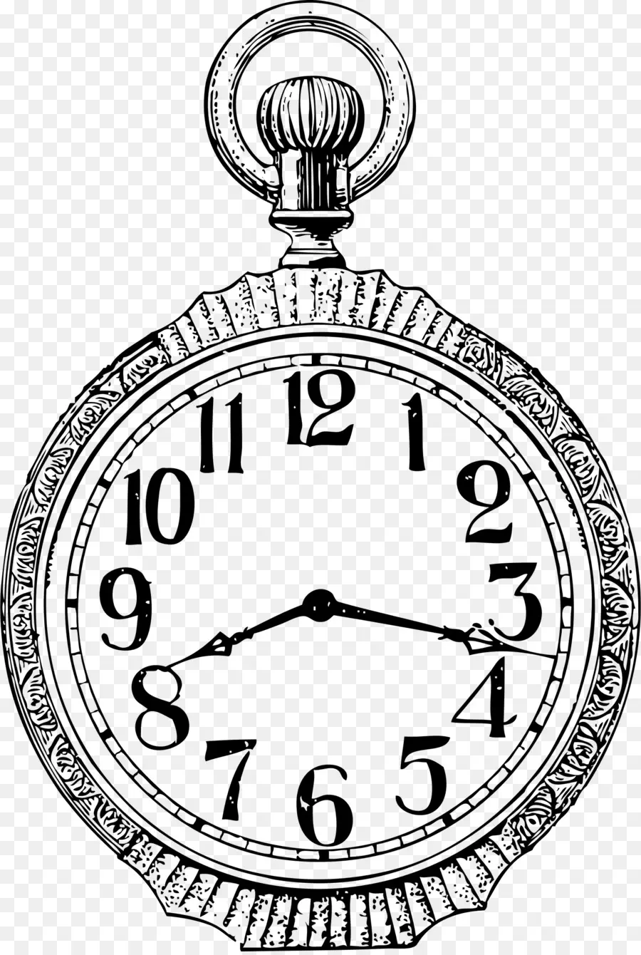 Reloj De Bolsillo，Reloj PNG