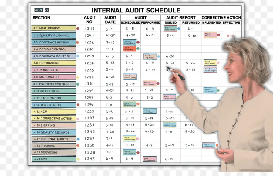 De Auditoría Interna，Auditoría PNG