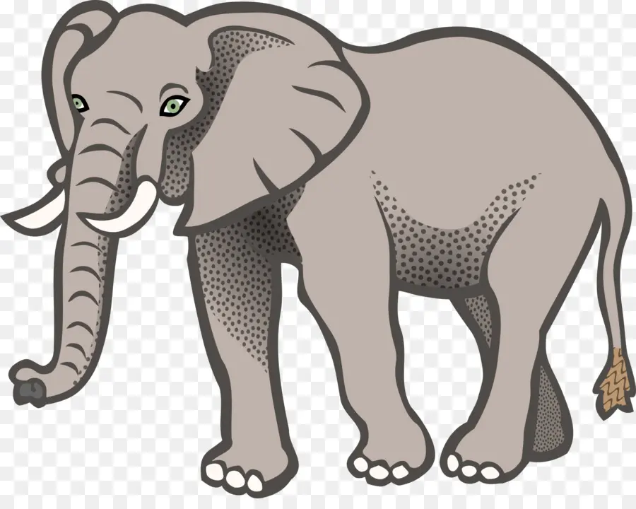 Elefante Asiático，El Elefante Africano PNG