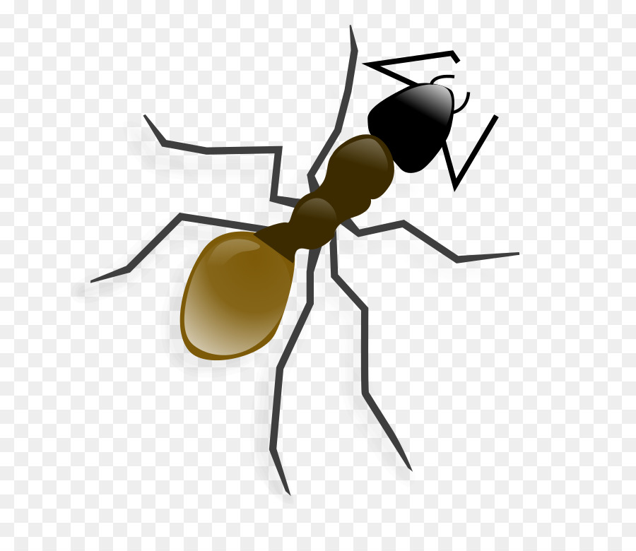 Ant，Iconos De Equipo PNG