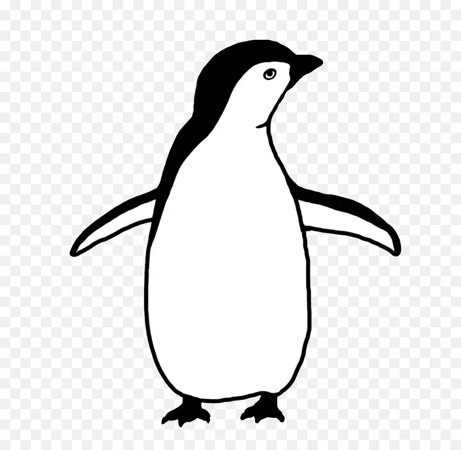 Penguin，Bebé Pingüinos PNG