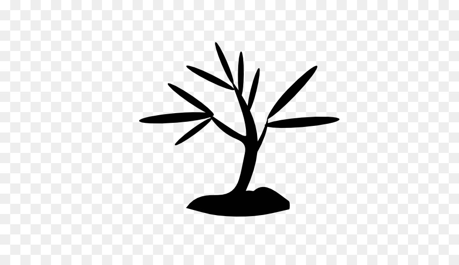 Árbol，Planta PNG