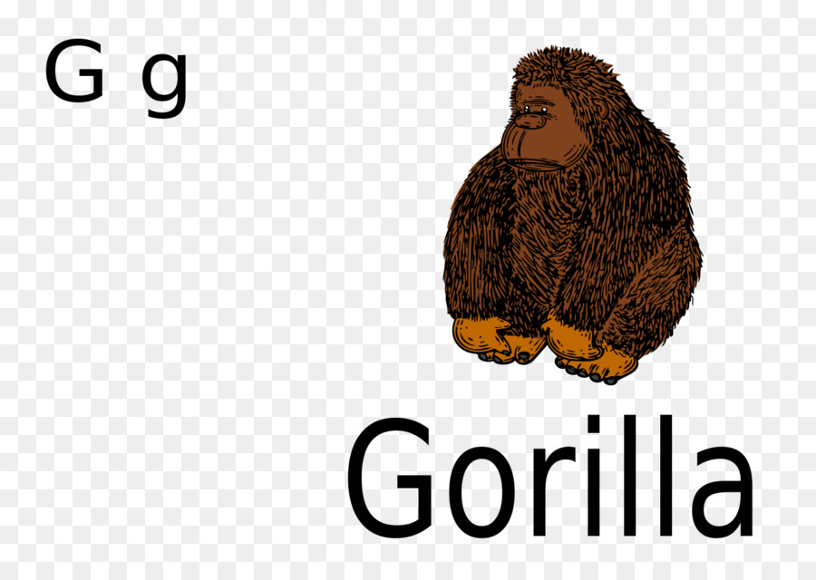 Occidental Gorila，Ape PNG