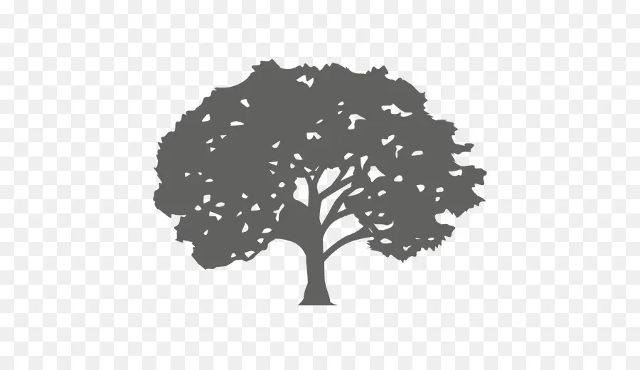 árbol，Silueta PNG