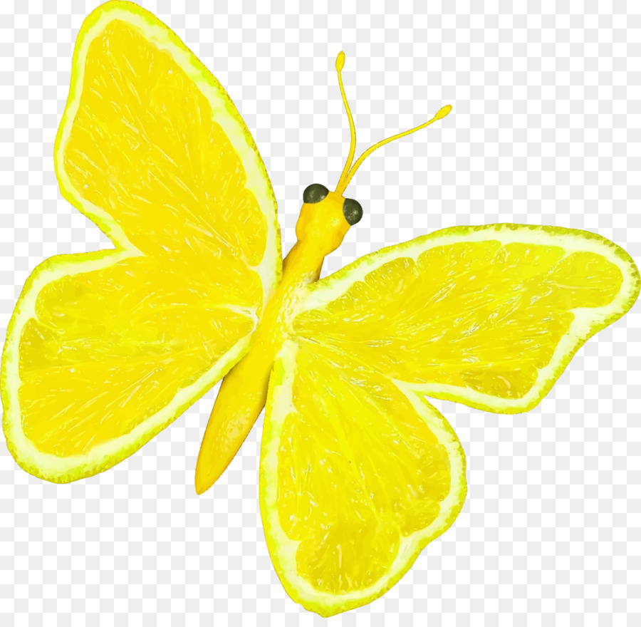 Mariposa Naranja，Rebanadas PNG