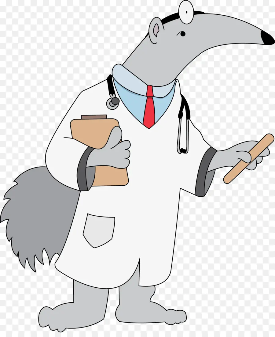 Doctor Oso Hormiguero，Animal PNG