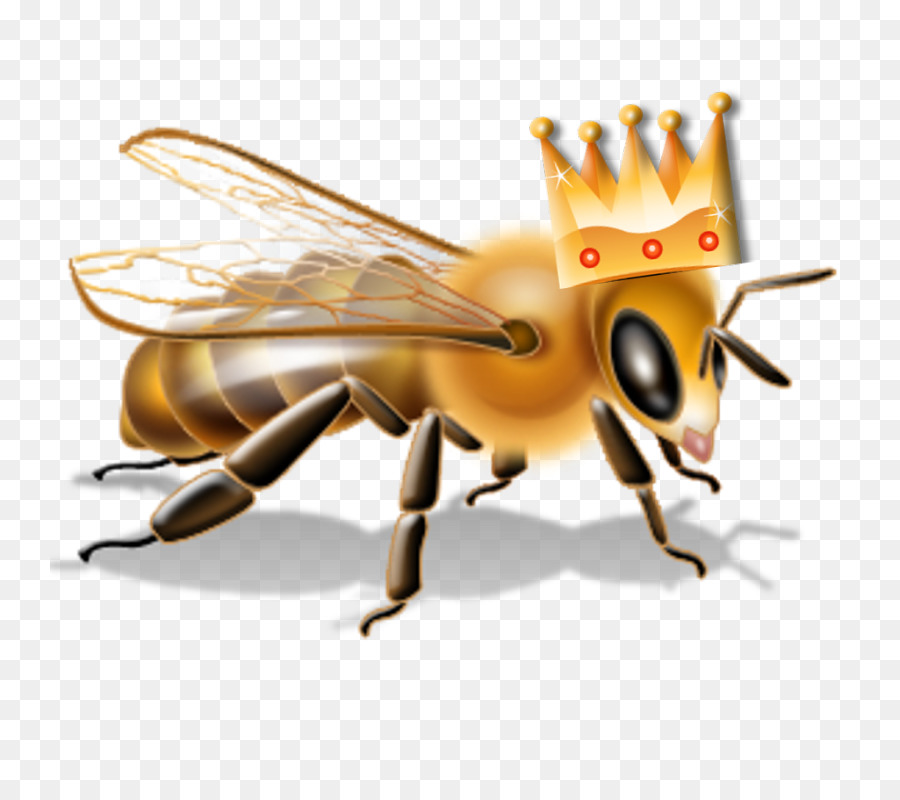 Abeja，Insecticida PNG