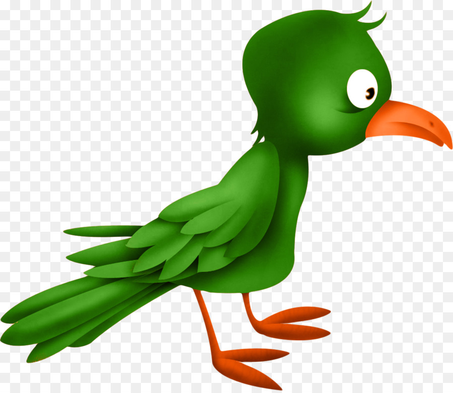 Pájaro，Pato PNG