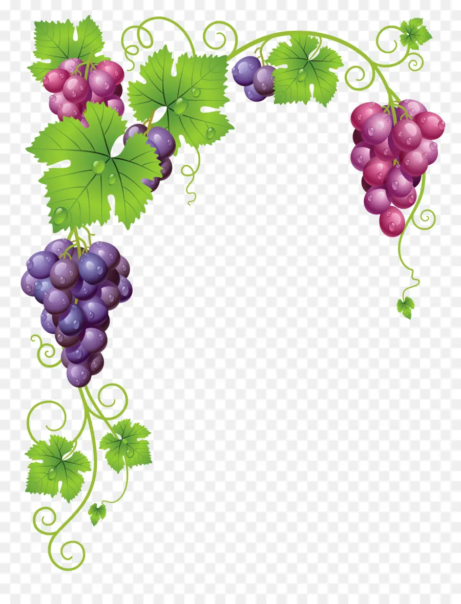 Común De La Uva De La Vid，Vino PNG