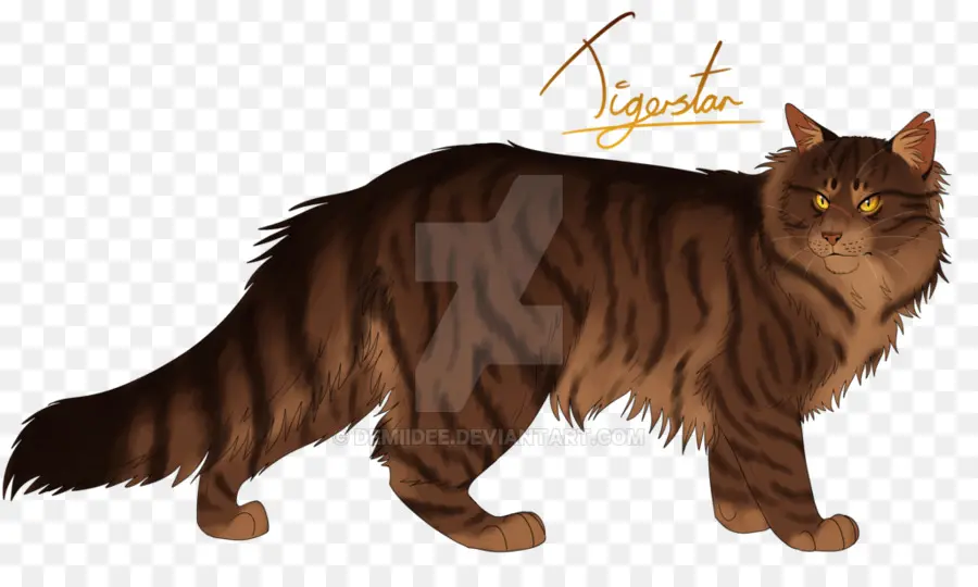 Gato，Felino PNG