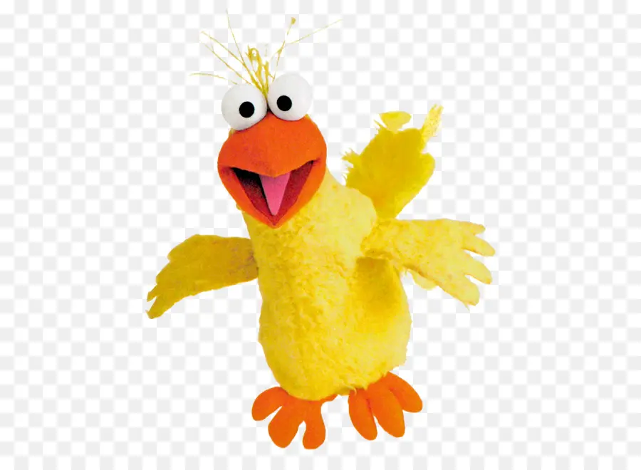 Pájaro Amarillo，Plumas PNG