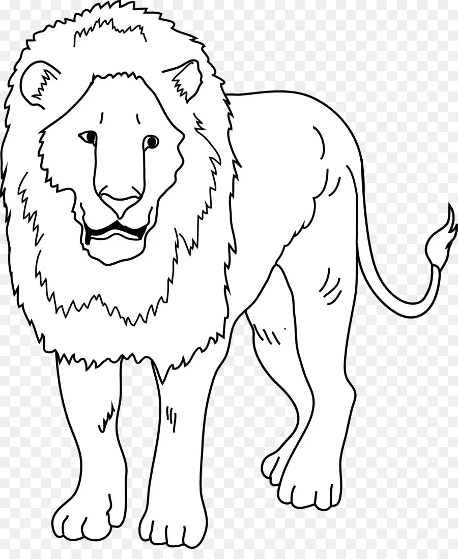 León，En Blanco Y Negro PNG