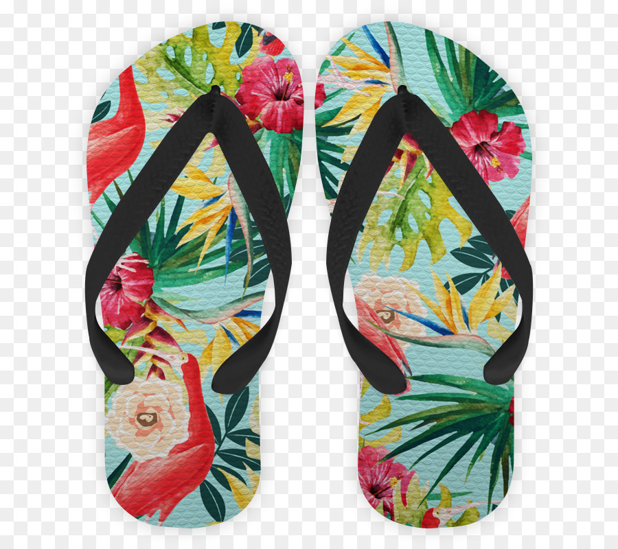 Flipflops，Calzado PNG