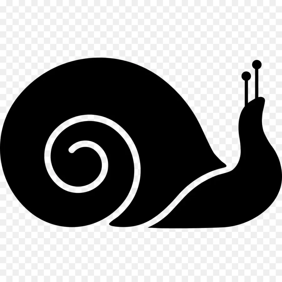 Iconos De Equipo，Caracol PNG