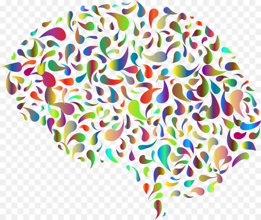 Cerebro Colorido，Cerebro PNG