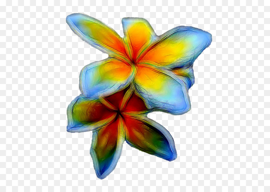 Flor，Pétalo PNG