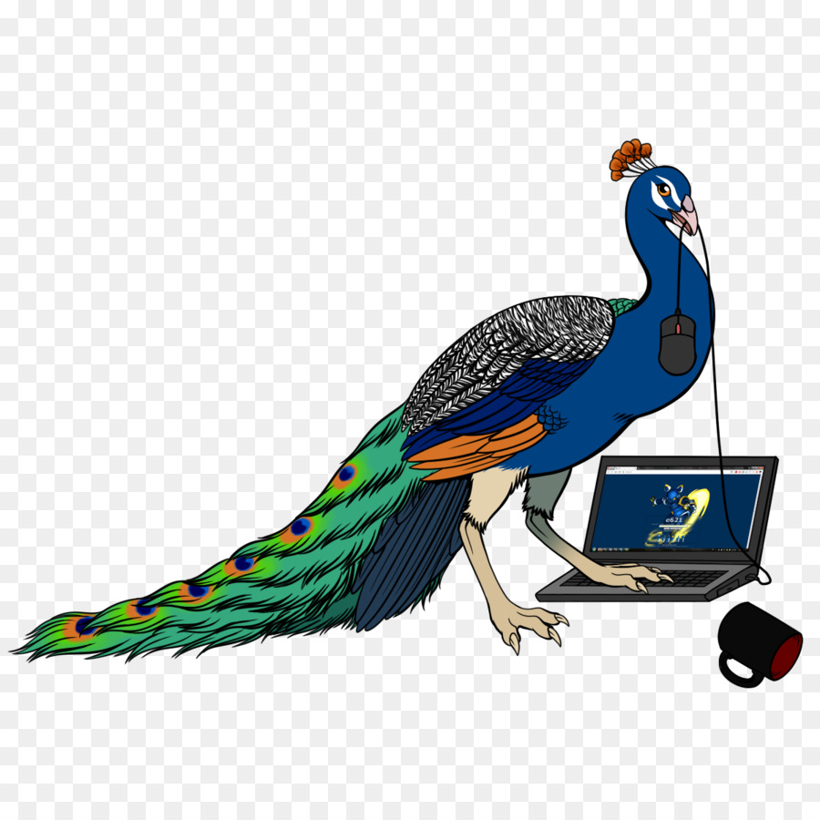 Bird，Pluma PNG