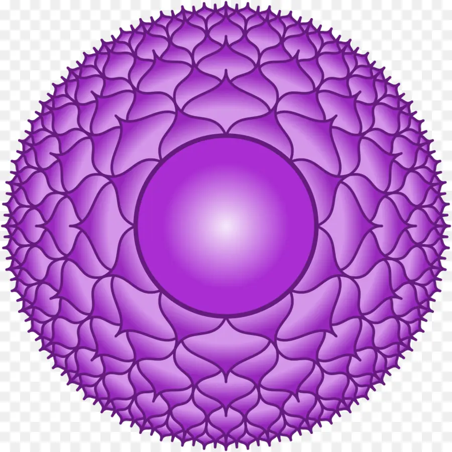 Chakra，Sahasrara PNG