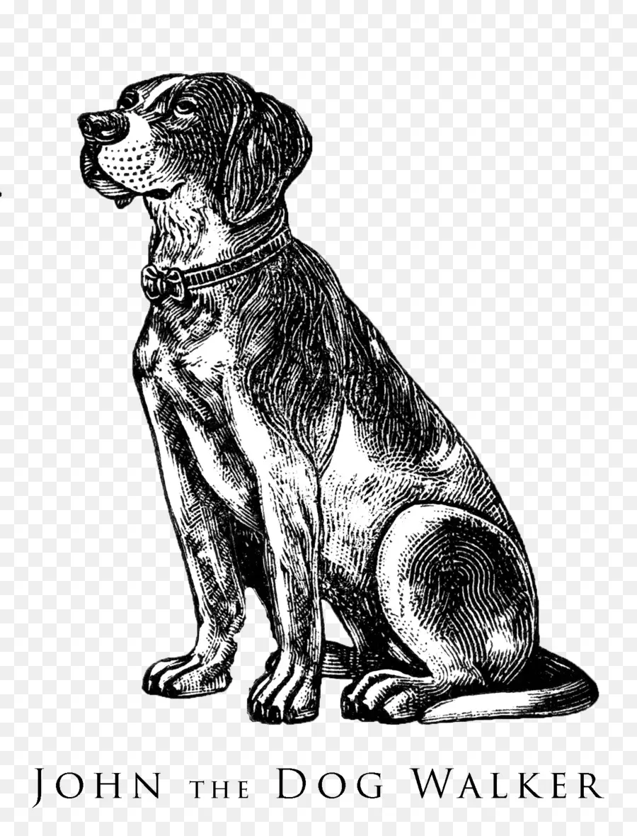 Beagle，Bulldog PNG