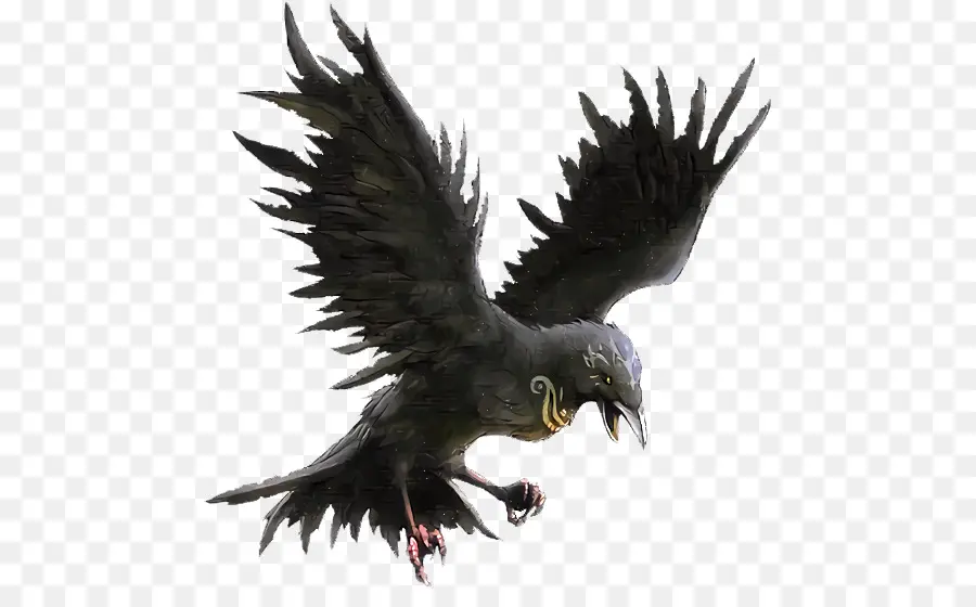 Cuervo Negro，Vuelo PNG