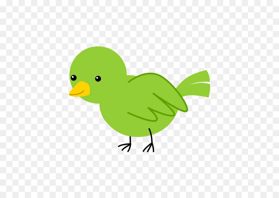 Pájaro，Pollo PNG