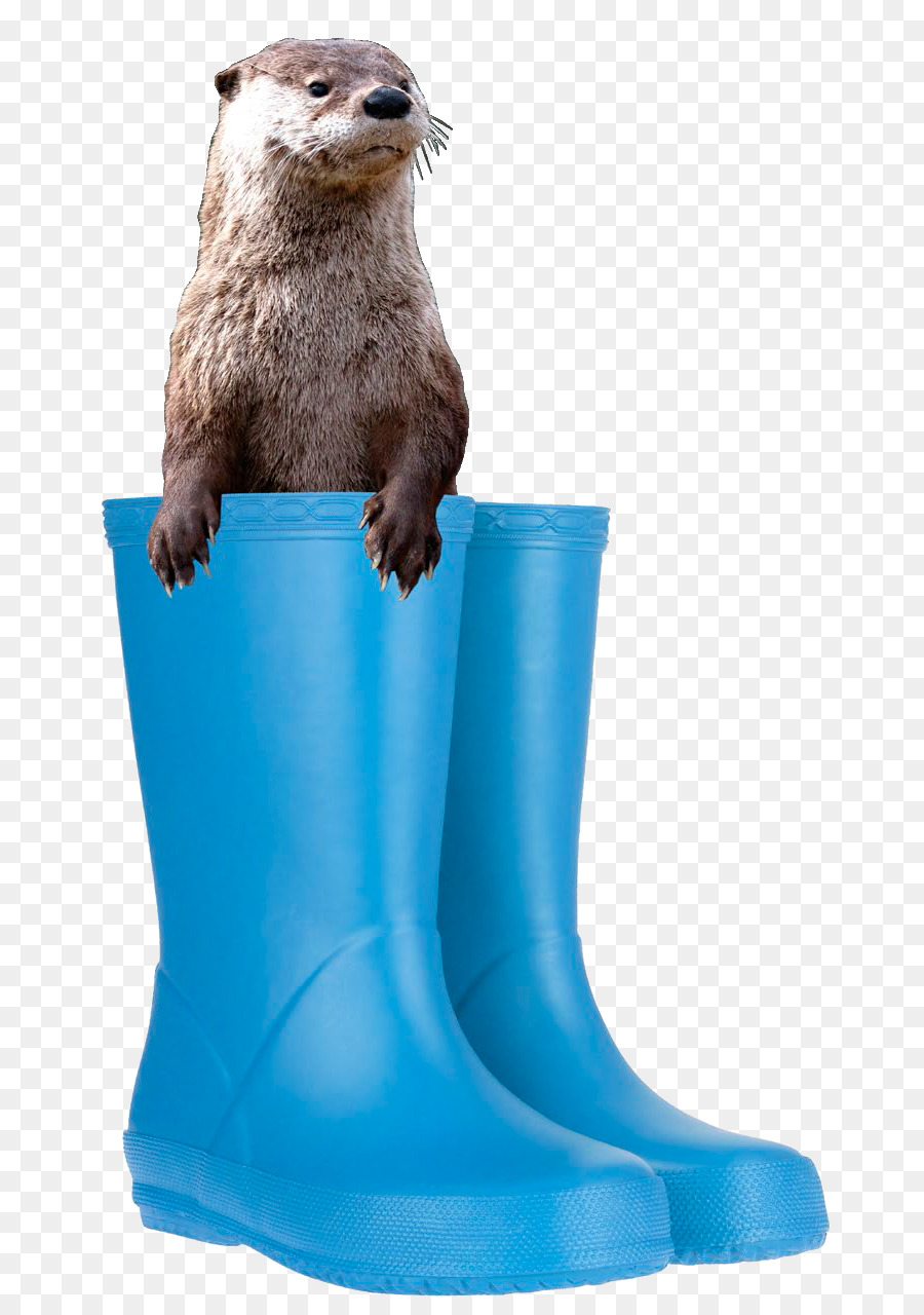 Nutria，Botas PNG