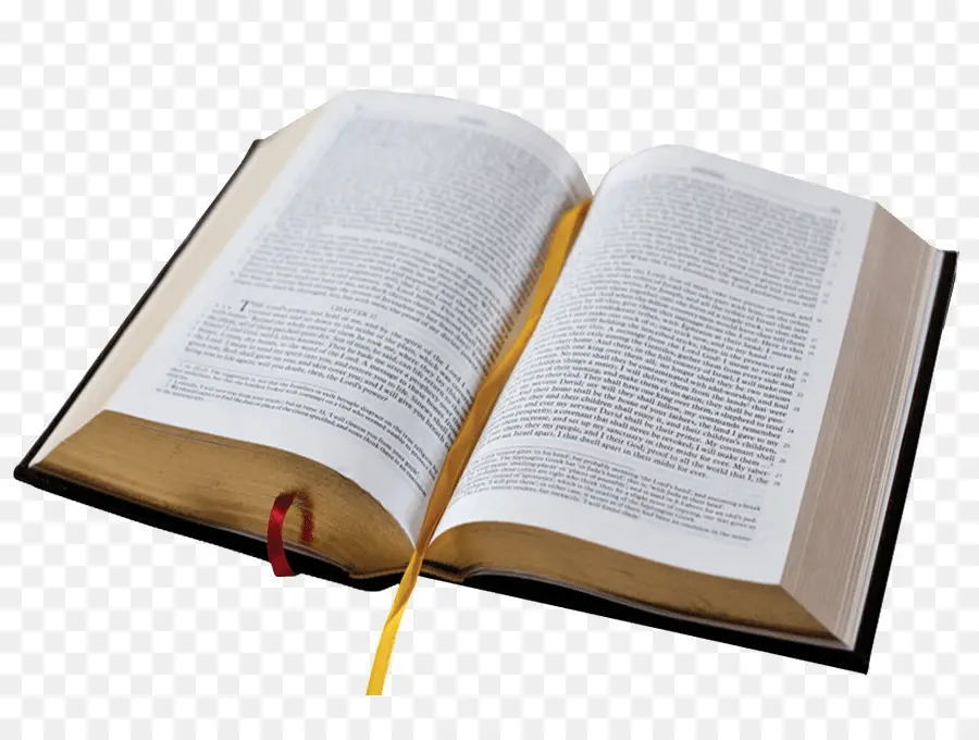 La Biblia，Nueva Versión De King James PNG